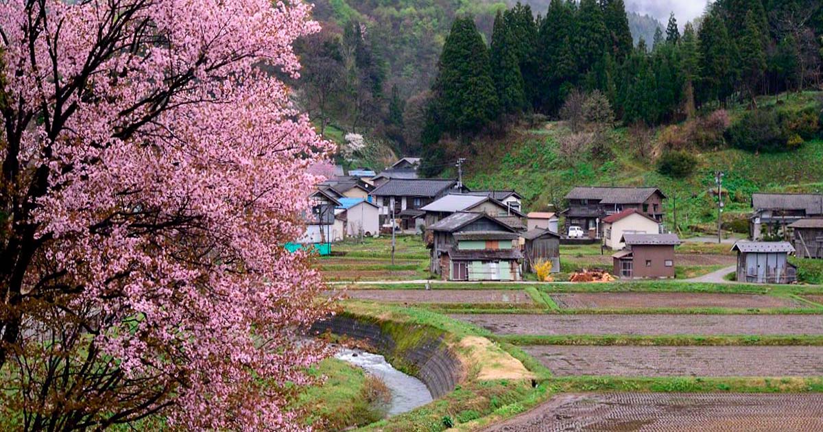 The Tranquil Beauty of Japan`s Rural Villages