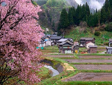 The Tranquil Beauty Of Japan`S Rural Villages